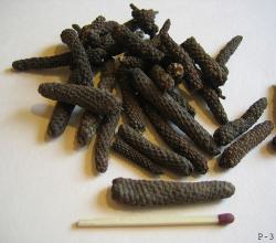 Pepper 